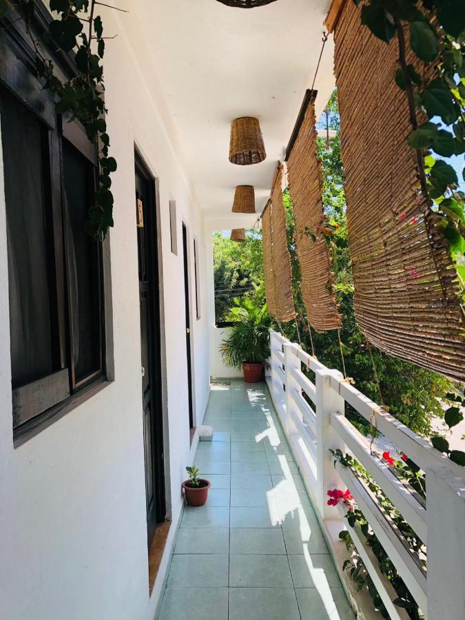 Chaak Pansiyon Puerto Escondido  Dış mekan fotoğraf