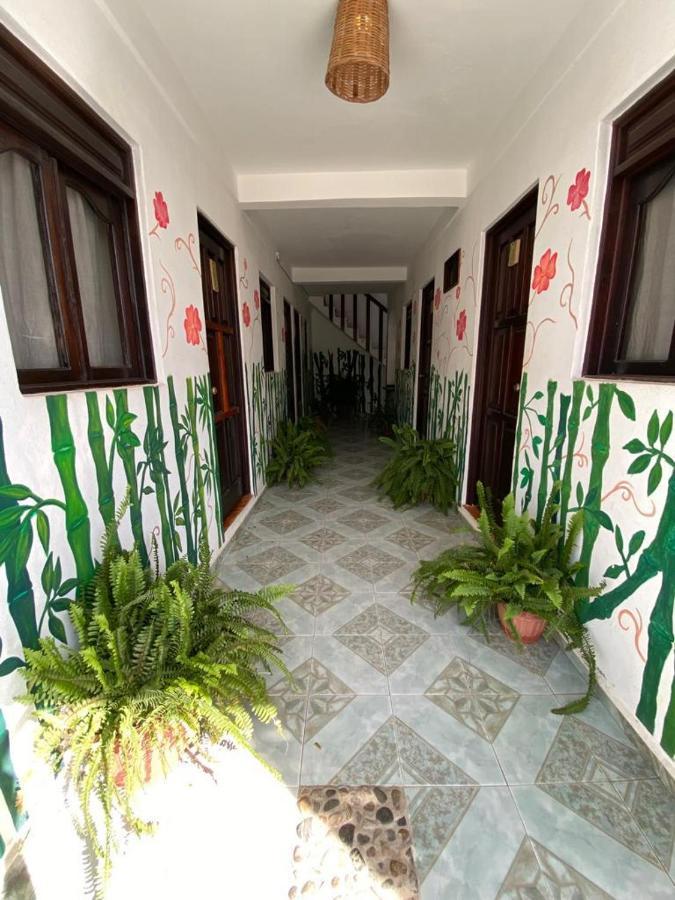 Chaak Pansiyon Puerto Escondido  Dış mekan fotoğraf
